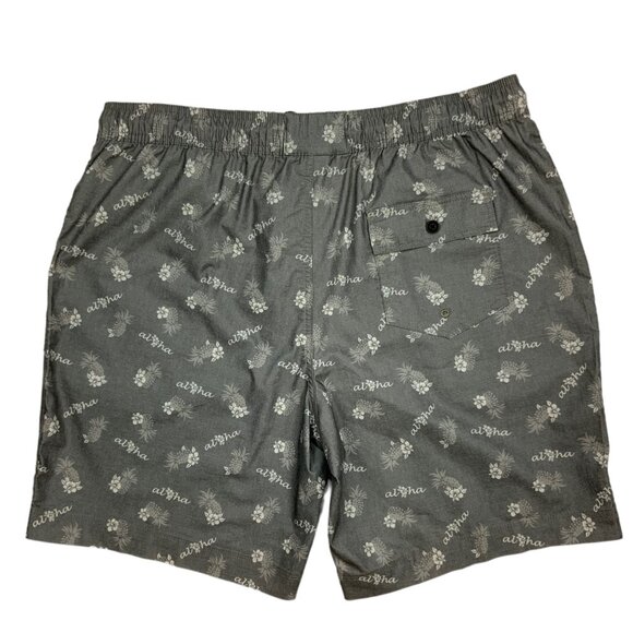 Rails Aloha Pineapple Kian Swim Trunks Short 2XL XXL Kian Gray NEW - Picture 2 of 12